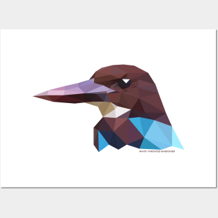 White-throated Kingfisher Posters and Art